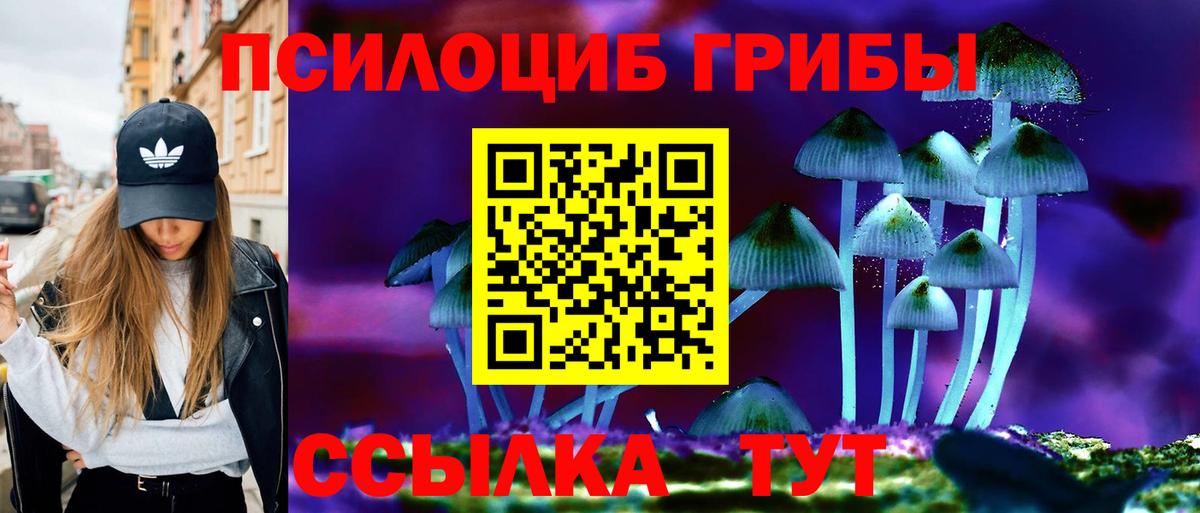 Псилоцибиновые грибы GOLDEN TEACHER  Вход с VPN  Приморско-Ахтарск  наркота  Псилоцибиновые грибы прущие грибы 